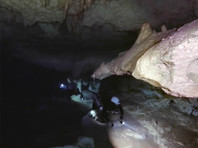 В Мексике открыли крупнейшую в мире подводную пещеру со следами цивилизации майя