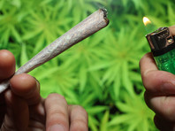 Профсоюз полицейских в  Германии предлагает полностью легализовать марихуану