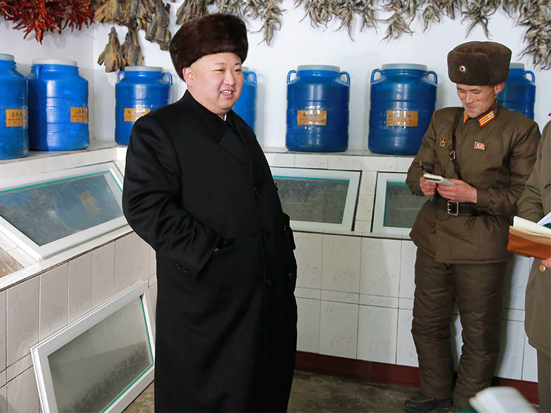 В Белом доме не исключили, что встреча Трампа и Ким Чен Ына может пройти в Пхеньяне
