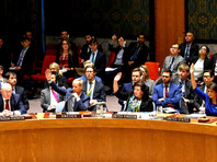 Совбез отклонил резолюцию РФ с осуждением удара по Сирии