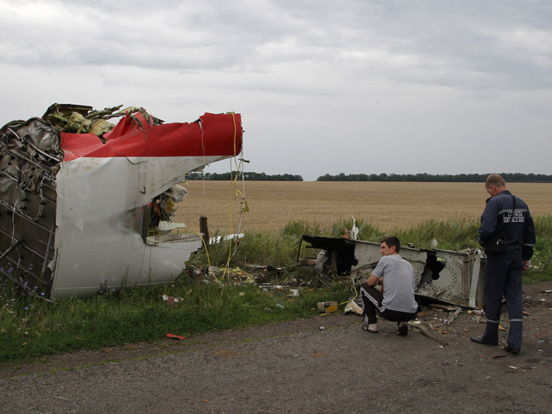 Правительство Нидерландов в настоящее время не видит оснований для привлечения Украины к ответственности за крушение в 2014 году самолета рейса MH17 в небе над Донбассом за незакрытие воздушного пространства