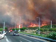 В греческой Аттике объявлено чрезвычайное положение из-за лесных пожаров