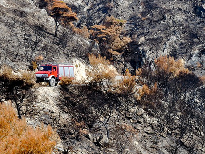 До 85 человек возросло число погибших в результате сильных лесных пожаров, начавшихся в понедельник близ Афин