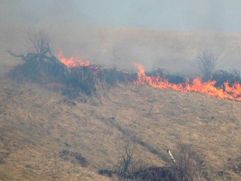 Власти Греции объявили о задержании человека, который подозревается в устройстве лесных пожаров на территории муниципалитета Марафон в Восточной Аттике. Мужчина в возрасте 35 лет был задержан еще 1 августа, сообщает сайт местной пожарной службы