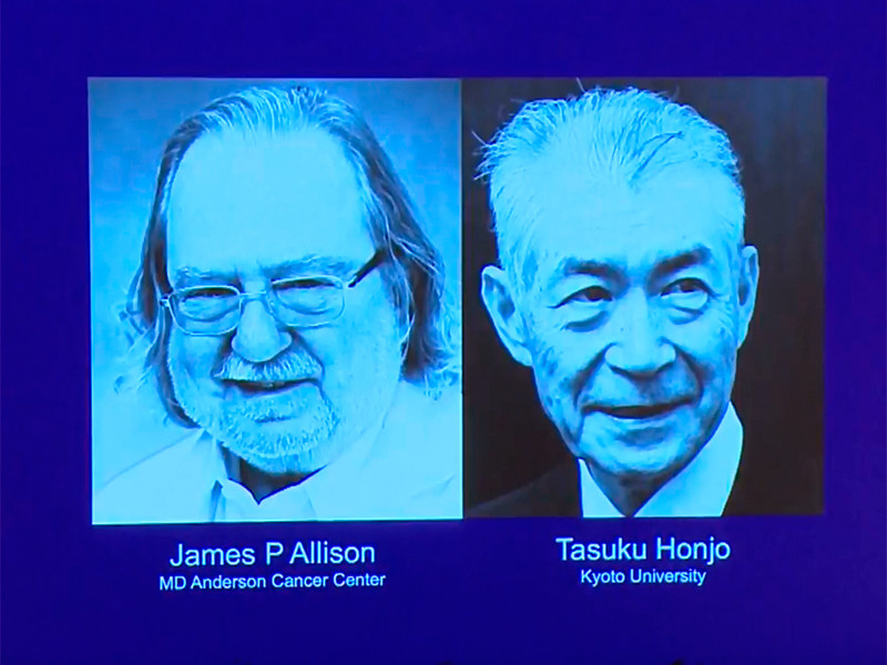 Нобелевскую премию по медицине присудили американскому ученому Джеймсу Эллисону и японцу Тасуку Хондзё за их открытие способа лечения рака за счет подавления негативной работы иммунной системы