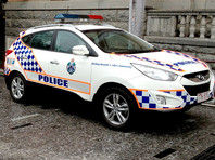 Полиция Австралии арестовала 50-летнюю женщину по подозрению в том, что она втыкала швейные иглы в свежую клубнику, поставляемую в магазины страны
