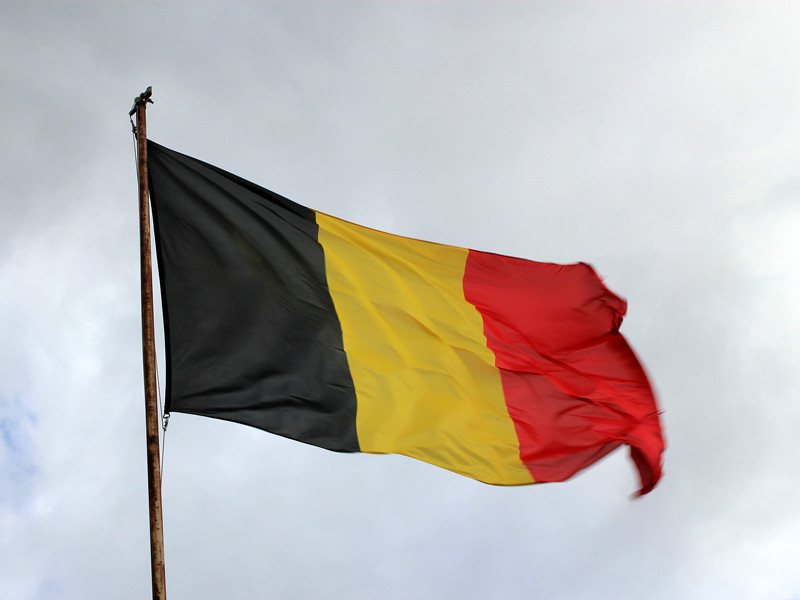 Бельгийский суд дал властям 40 дней на репатриацию детей боевиков из Сирии