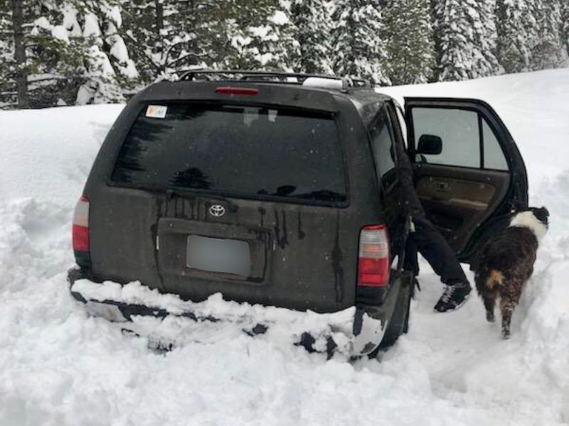 В США спасли угодившего в снежный плен мужчину с собакой