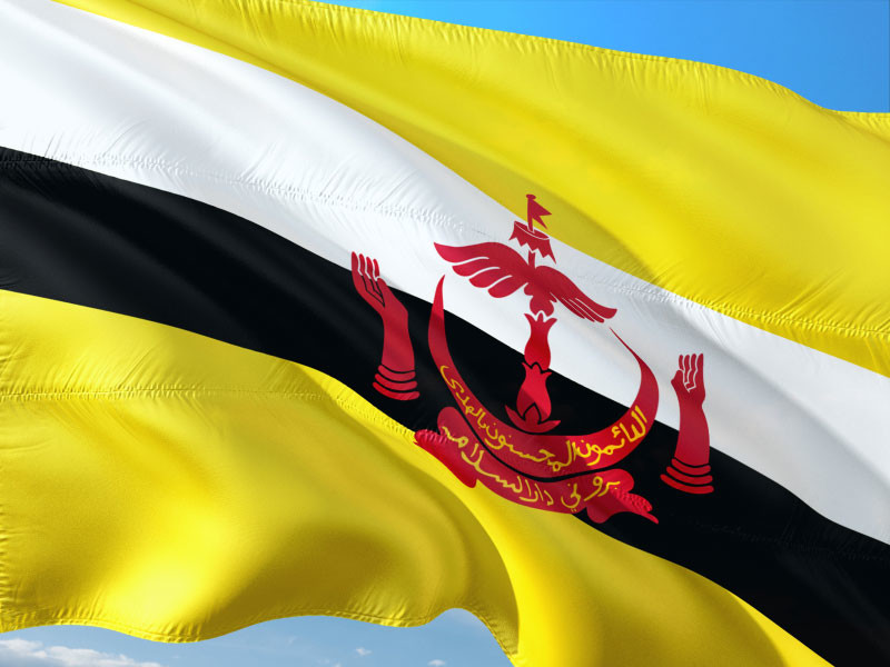 Бруней вводит смертную казнь за однополые связи и отрубание конечностей за воровство