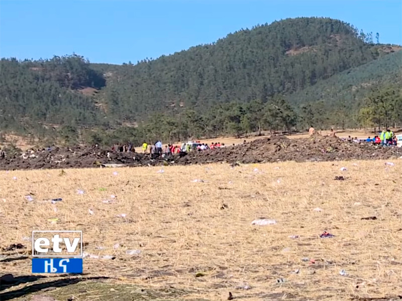 Boeing 737 МАХ 8 компании Ethiopian Airlines разбился утром 10 марта в 60 км к юго-западу от эфиопской столицы Аддис-Абебы. Лайнер направлялся в Найроби и потерпел крушение через шесть минут после взлета