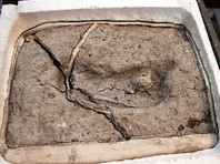Самый древний человеческий след в Америке обнаружен в Чили