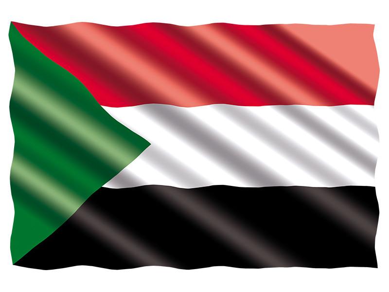 Суданом будут управлять военные, президент помещен под домашний арест
