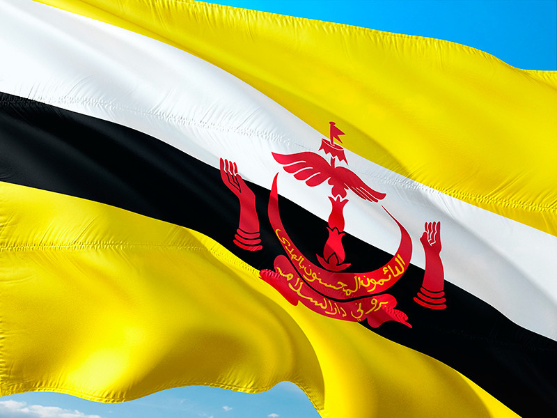 В Брунее продолжит действовать мораторий на смертную казнь несмотря на вступление в апреле в силу норм шариата, предполагающих забивание камнями за гомосексуальные связи и супружескую измену