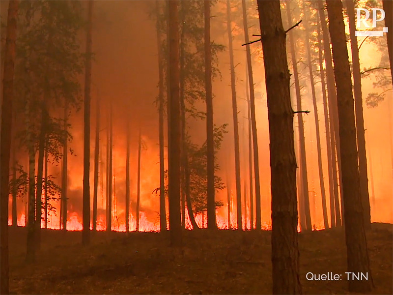 Сильная жара в начале этой недели установилась в немецкой федеральной земле Бранденбург. В результате пожары охватили сотни гектаров леса