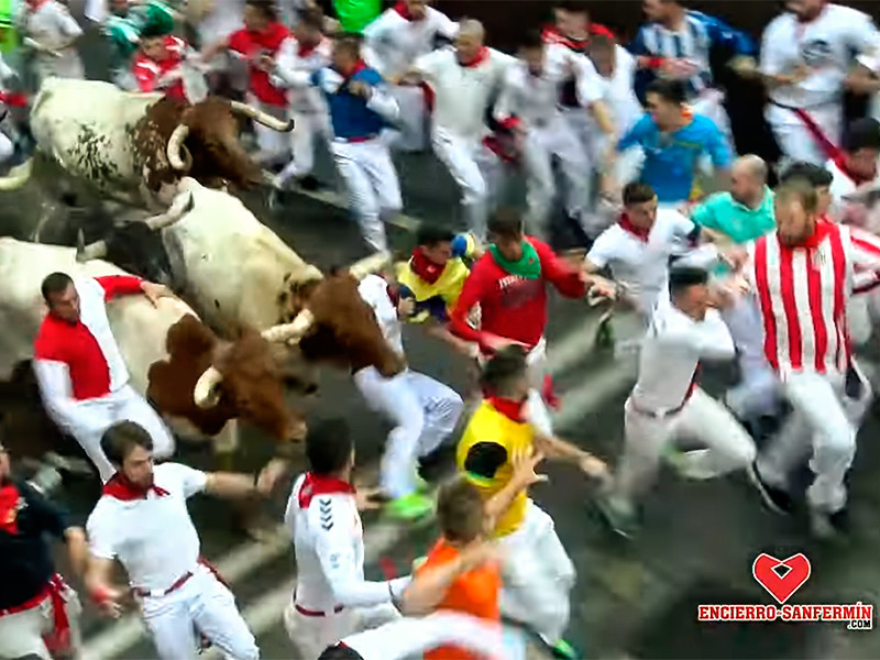Восемь человек пострадали во время забега с быками на фестивале Сан-Фермин в Испании
