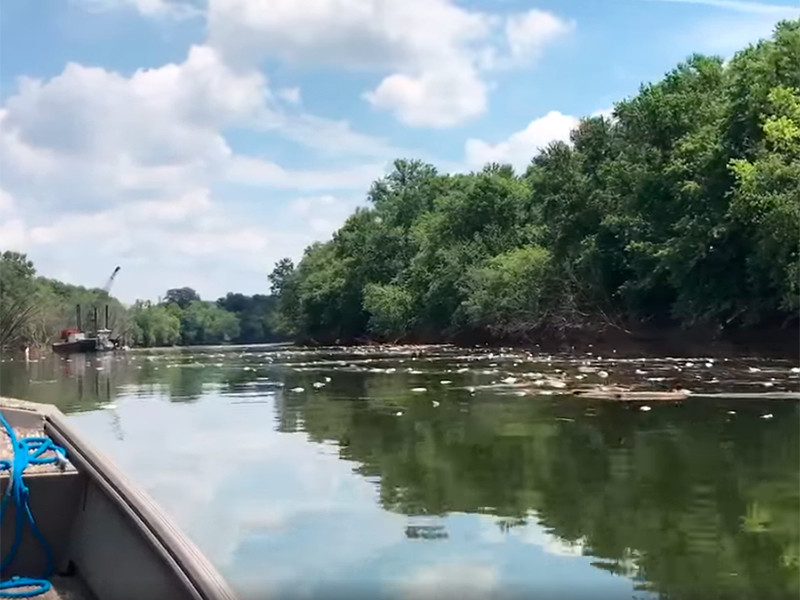 Разлив виски в Кентукки: в реке на участке в 37 км гибнет рыба, странный вкус водопроводной воды в столице штата