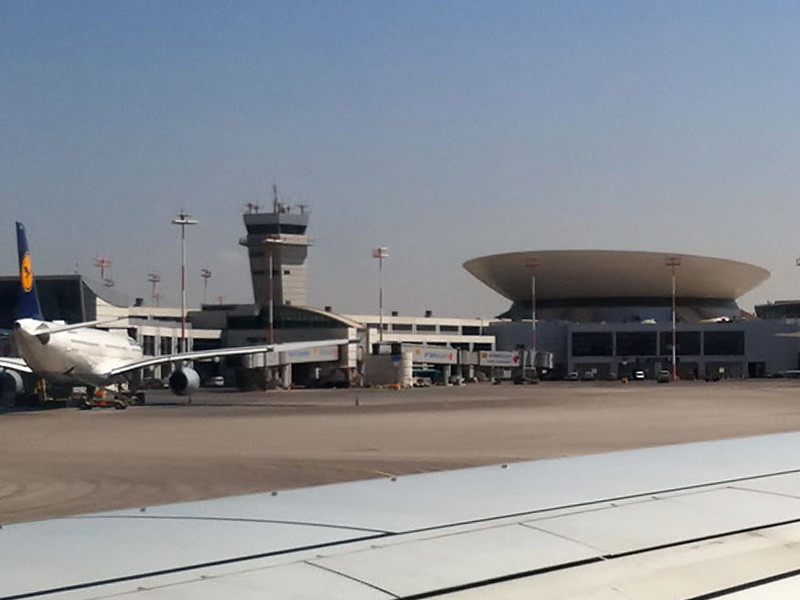 В ночь на 24 июля сотрудники службы безопасности международного аэропорта имени Бен-Гуриона в Тель-Авиве были вынуждены выпроводить из первого терминала необычного "пассажира"