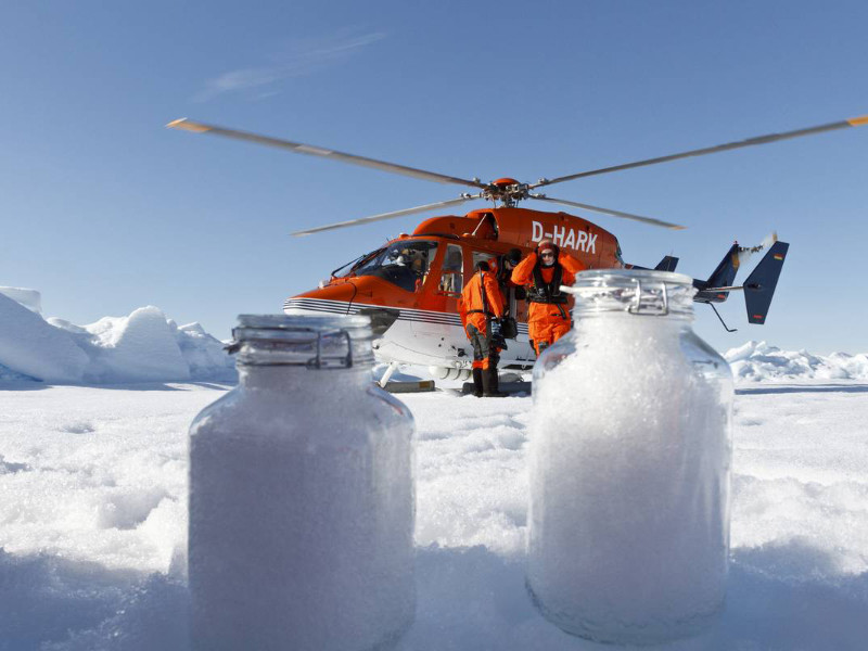 Команда ученых немецкого Института полярных и морских исследований имени Альфреда Вегенера (AWI)провела исследования образцов снега из Гельголанда, Баварии, Бремена, Швейцарских Альп и Арктики