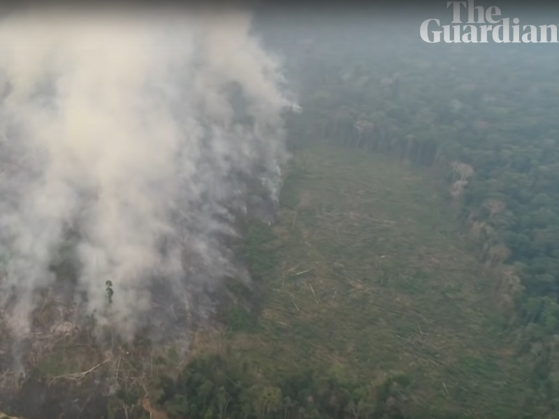 Правительство Бразилии отказалось от денежной помощи G7 при тушении пожаров в Амазонии