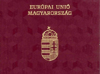 На Украине рассказали о массовом изъятии выданных жителям Закарпатья венгерских паспортов

