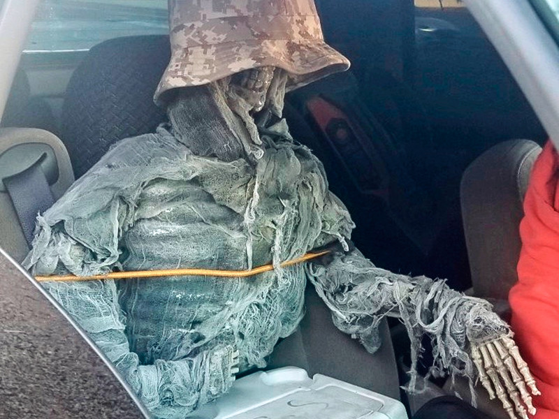 В США мужчину оштрафовали за то, что он ездил в автомобиле с искусственным скелетом на пассажирском сидении

