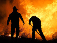С октября 2019 года в огне погибли 25 человек, в том числе четверо пожарных, кроме того, по оценкам экологов, от пожара погибли более миллиарда животных