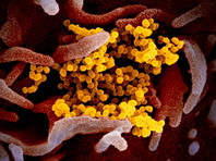 В ВОЗ предостерегли от чрезмерных мер в борьбе с коронавирусом