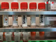 Уханьский Центр по контролю и профилактике заболеваний, который находится всего в трех милях от рынка, как предполагается, также проводил эксперименты на животных с целью изучения передачи коронавирусов