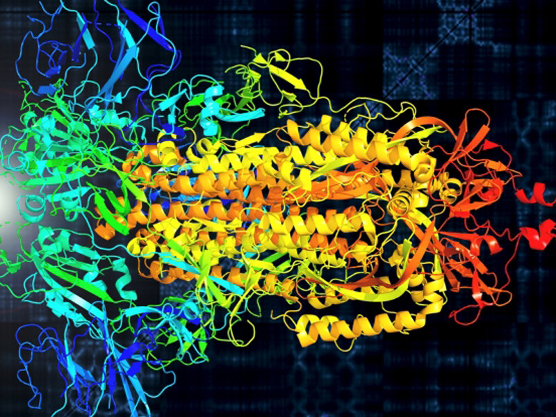 Биологи из США превратили колебания шиповидного белка SARS-CoV-2 в звук. Для это они преобразовали естественные вибрации, создаваемые аминокислотами в зависимости от их размера, массы, энергии и состояния связи