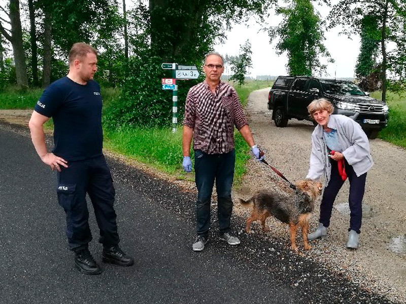 В Польше собака три дня охраняла хозяина, провалившегося в болото