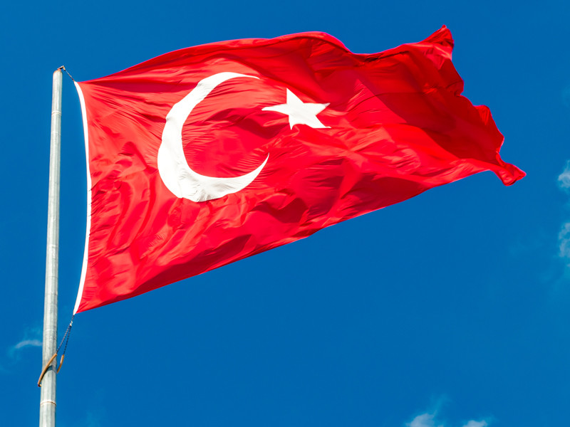 В Турции арестовали четырех человек за шпионаж в пользу Франции