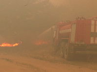Из-за жаркой и сухой погоды сильно ухудшилась ситуация с природными пожарами в восточной части Украины