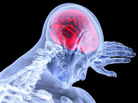 Немецкие нейробиологи: в спокойном состоянии человеческий мозг  нуждается в четверти объема поступающего извне кислорода