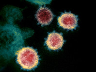 Всемирная организация здравоохранения (ВОЗ) заявила о расширении географии распространения штаммов коронавируса
