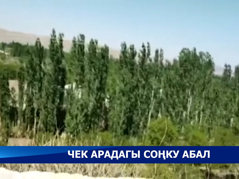 15 человек пострадали в перестрелке на границе между Киргизией и Таджикистаном