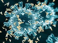 Ученые из США выяснили, как мутации коронавируса позволяют ему избегать антител