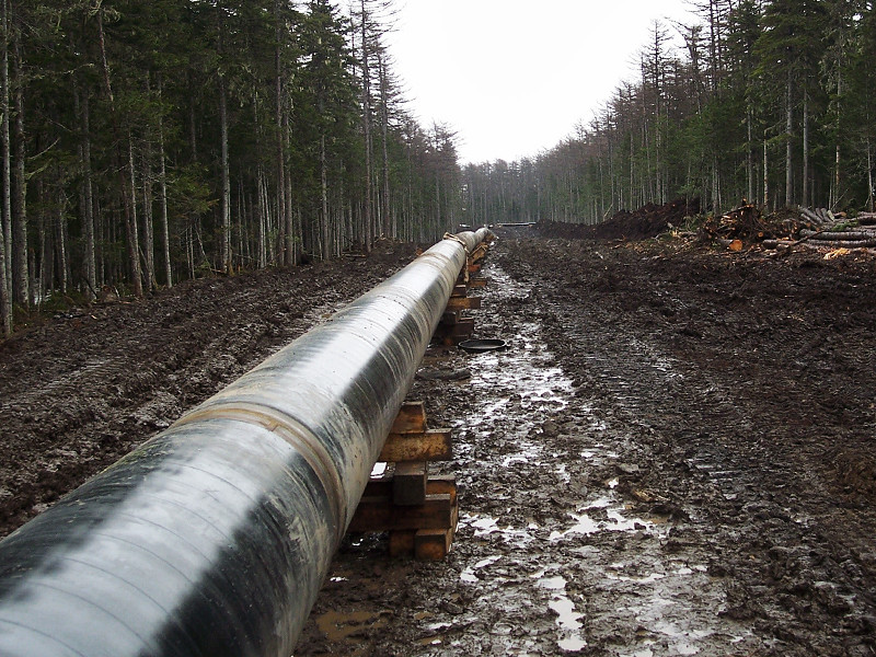 Белоруссия с 11 октября сразу на 50% повышает тарифы на транзит российской нефти через свою территорию по магистральным трубопроводам