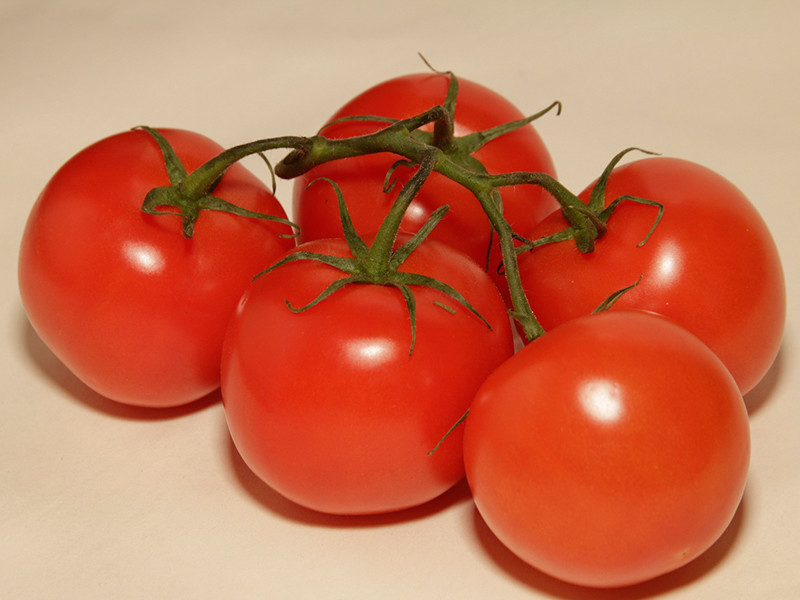 Минсельхоз предлагает отсрочить возобновление ввоза в Россию турецких томатов на два-три года