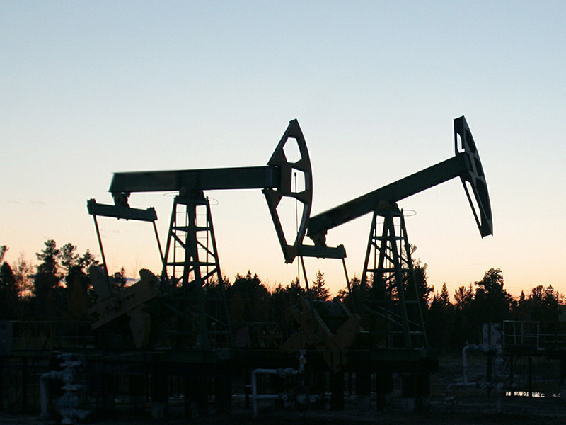 Россия по итогам января снизит нефтедобычу на 100 тыс. баррелей в сутки (б/с). Первоначальный план был установлен в объеме 50 тыс. б/с