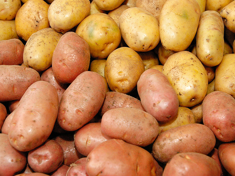 Россия второй год подряд заявляет о себе как об экспортере картофеля: в 2016 году за рубеж было вывезено 230 тысяч тонн клубней