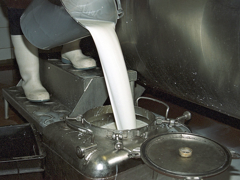 Каждый четвертый молочный продукт на российских прилавках является некачественным и содержит растительные жиры, сообщила на прошлой неделе Счетная палата со ссылкой на данные лабораторных исследований Россельхознадзора
