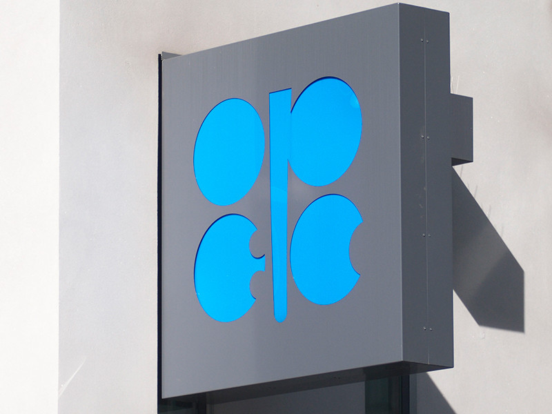 РФ может продлить соглашение с ОПЕК по сокращению добычи нефти из-за риска снижения цен