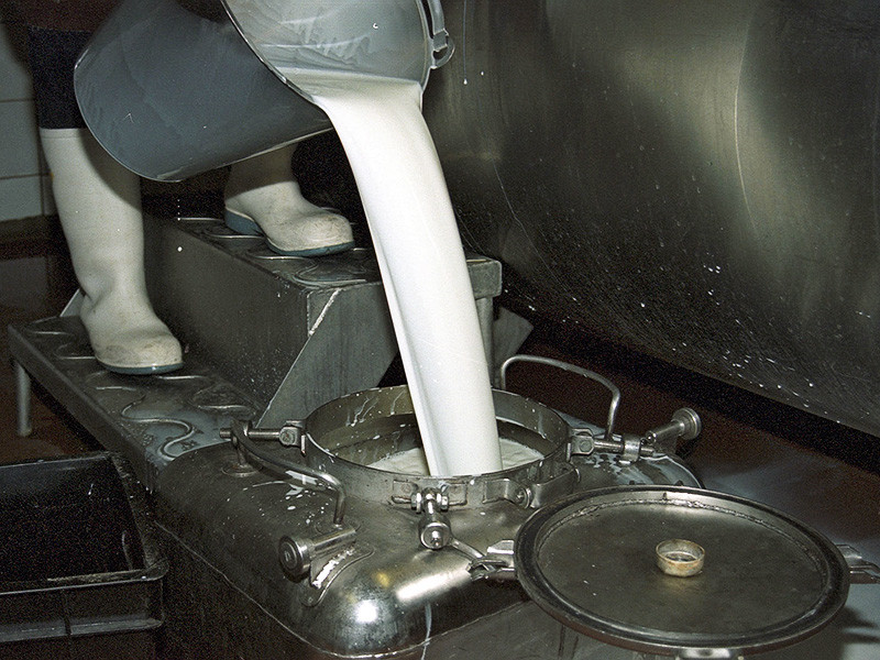 Россельхознадзор ввел новые ограничения на поставки молочной продукции из Белоруссии