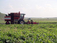 Агрохолдинг, связанный с семьей министра сельского хозяйства, вышел на 5-е место по производству сахара в России