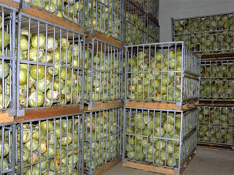 В первом полугодии Роспотребнадзор запретил продажу свыше 390 тонн овощей и фруктов
