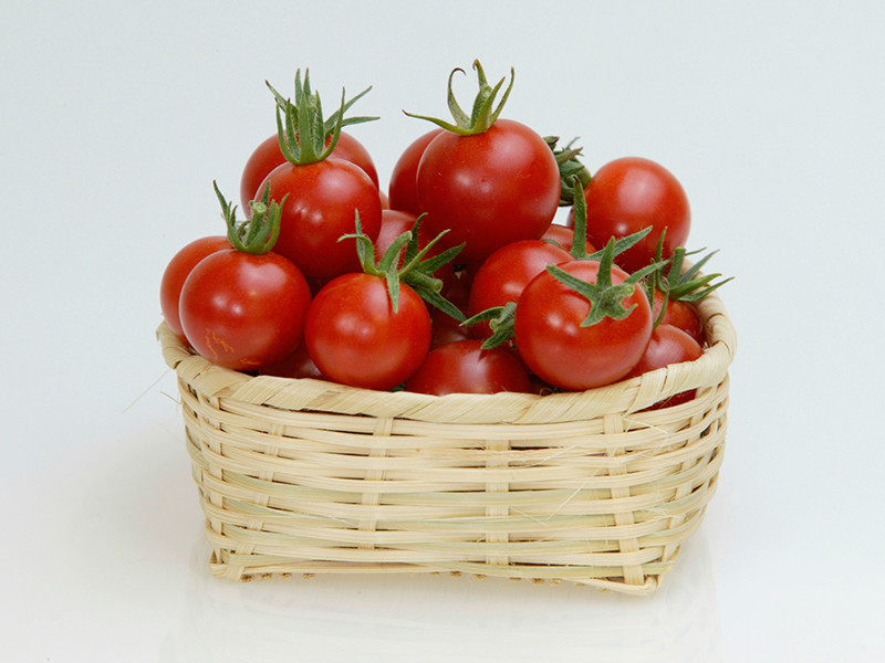 Россия и Турция снова обсудят вопрос об отмене ограничений на поставки турецких томатов в РФ на выставке в Измире 18 августа