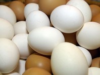 Российский Россельхознадзор прокомментировал сообщения о появлении зараженных инсектицидами яиц на прилавках 15 стран ЕС, заявив, что не видит угрозы попадания ядовитой продукции в Россию


