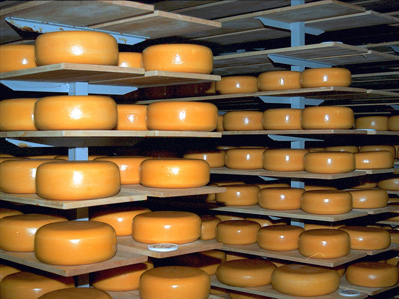 Россияне сократили потребление сыра из-за низкого качества отечественной продукции