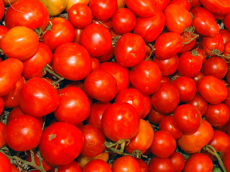 Поставки турецких помидоров в Россию могут возобновиться в октябре