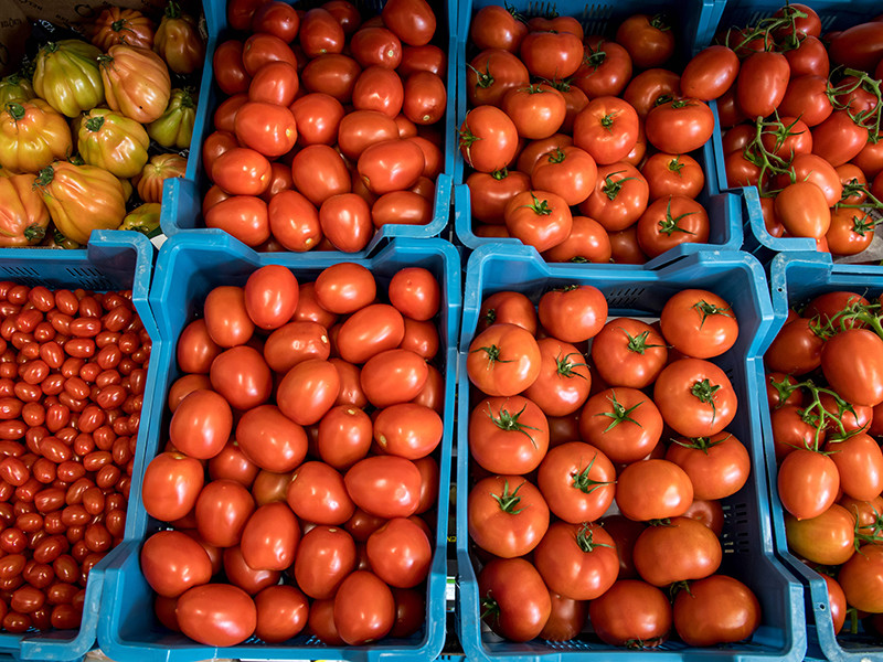Министерство сельского хозяйства России предложило допускать на отечественный рынок не более 50 тысяч тонн турецких помидоров